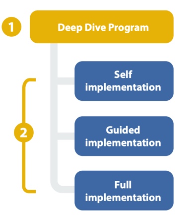 how depp dive program works